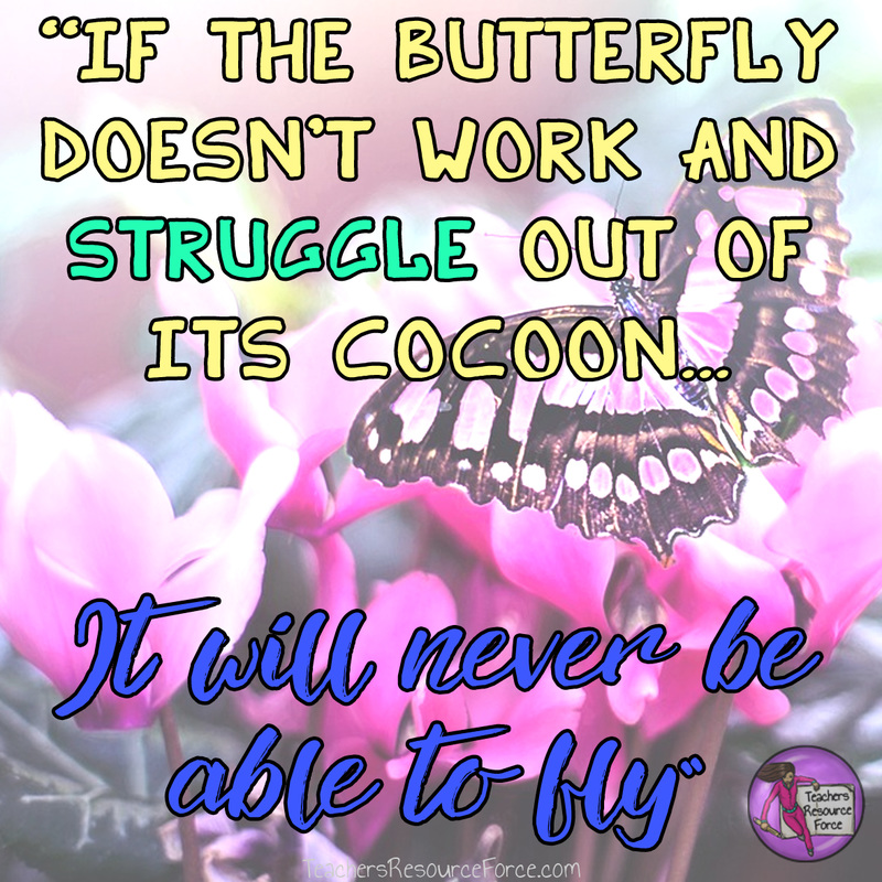 If the butterfly doesn't work and struggle out of its cocoon, it will never be able to fly www.teachersresourceforce.com